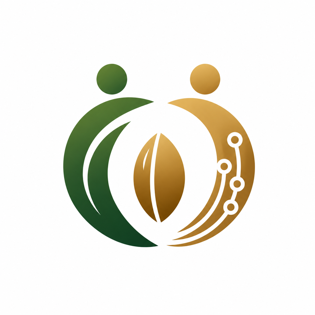 果核科技